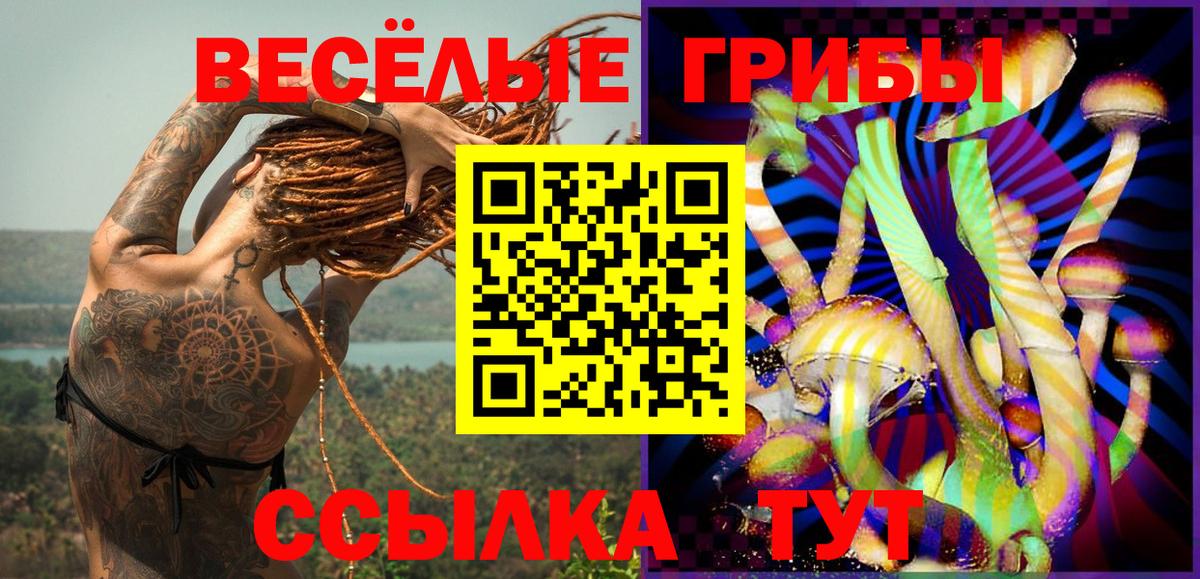 где можно купить   Вход с VPN  Белорецк  Галлюциногенные грибы прущие грибы 